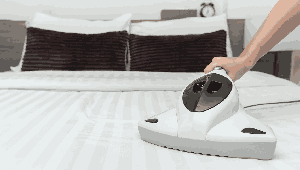 Professional Mattress Cleaning Bonshaw